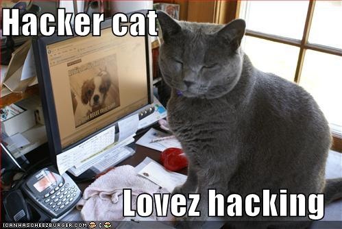 Obligatory photo of a cat at a computer. Better than a guy in a hoodie, crouched over a laptop in a dark room, right?